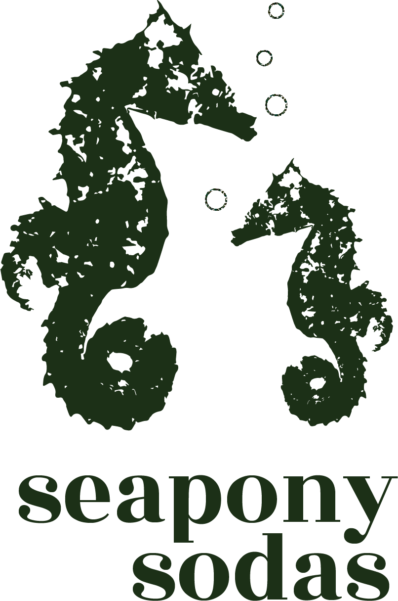 image of seapony soda logo